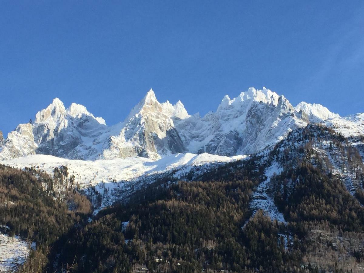 Le Petit M Chamonix Au Pied Du Brevent Daire Dış mekan fotoğraf